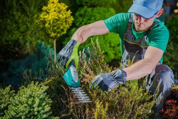 landscaping services Lynn
